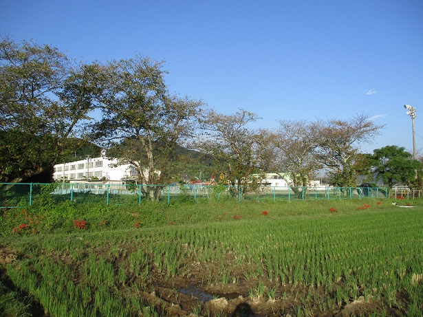 坂部小学校