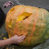 DSC07713